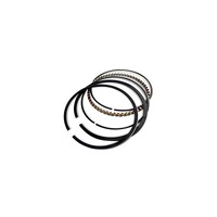 81mm piston ring set for one cylinder