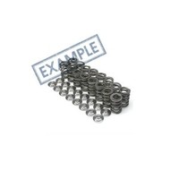 Audi/VW 2.0 16V TFSI EA113 Supertech valve springs SPRK-A2416-N2