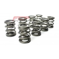 Audi / VW 1.9 TDi (not PD/CR) FCP racing valve double spring kit