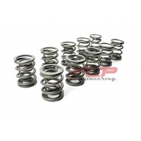 Audi / VW 2.5 TDi (not PD/CR) FCP racing valve double spring kit