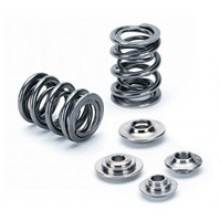VW/Audi TT RS 2.5 20V TFSI Supertech valve springs kit SPRK-A2416-5