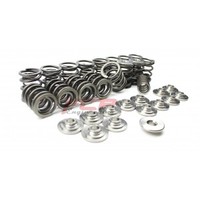 VW 2.0 16V ABF FCP racing valve spring kit + titanium retainers