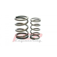 Audi V8 S4 3.6 4.2 32V (PT, ABH) FCP racing valve double spring kit