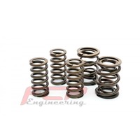 Audi S6 S4 RS4 2.7T 2.8 3.0 30V FCP racing valve double spring kit