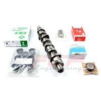 Комплект гоночных распредвалов AUDI / VW 1.9 2.0 TDI PD FCP Racing camshaft set